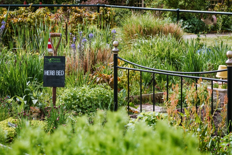 The Therapy Garden